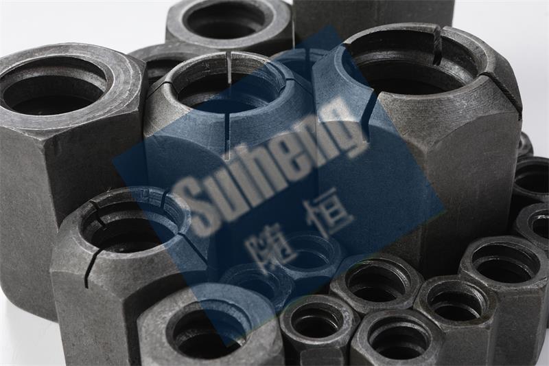 2W7A4653丽晓.jpg